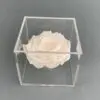 PRESERVED WHITE ROSES IN ACRYLIC BOX - Image 2
