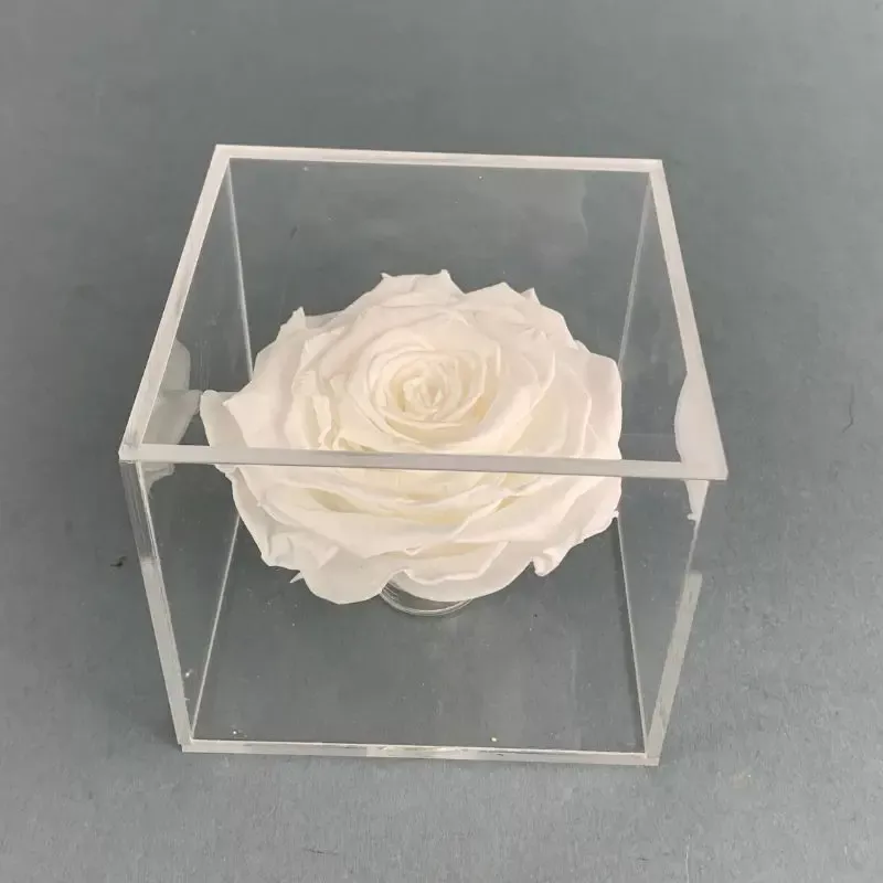 PRESERVED WHITE ROSES IN ACRYLIC BOX