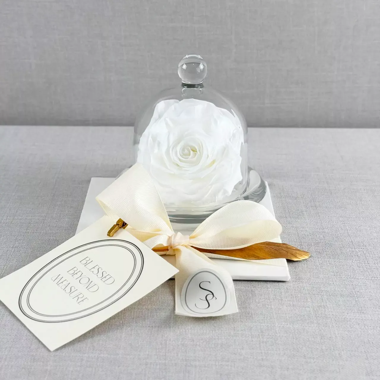 Glass Dome with Preserved Rose - Image 5