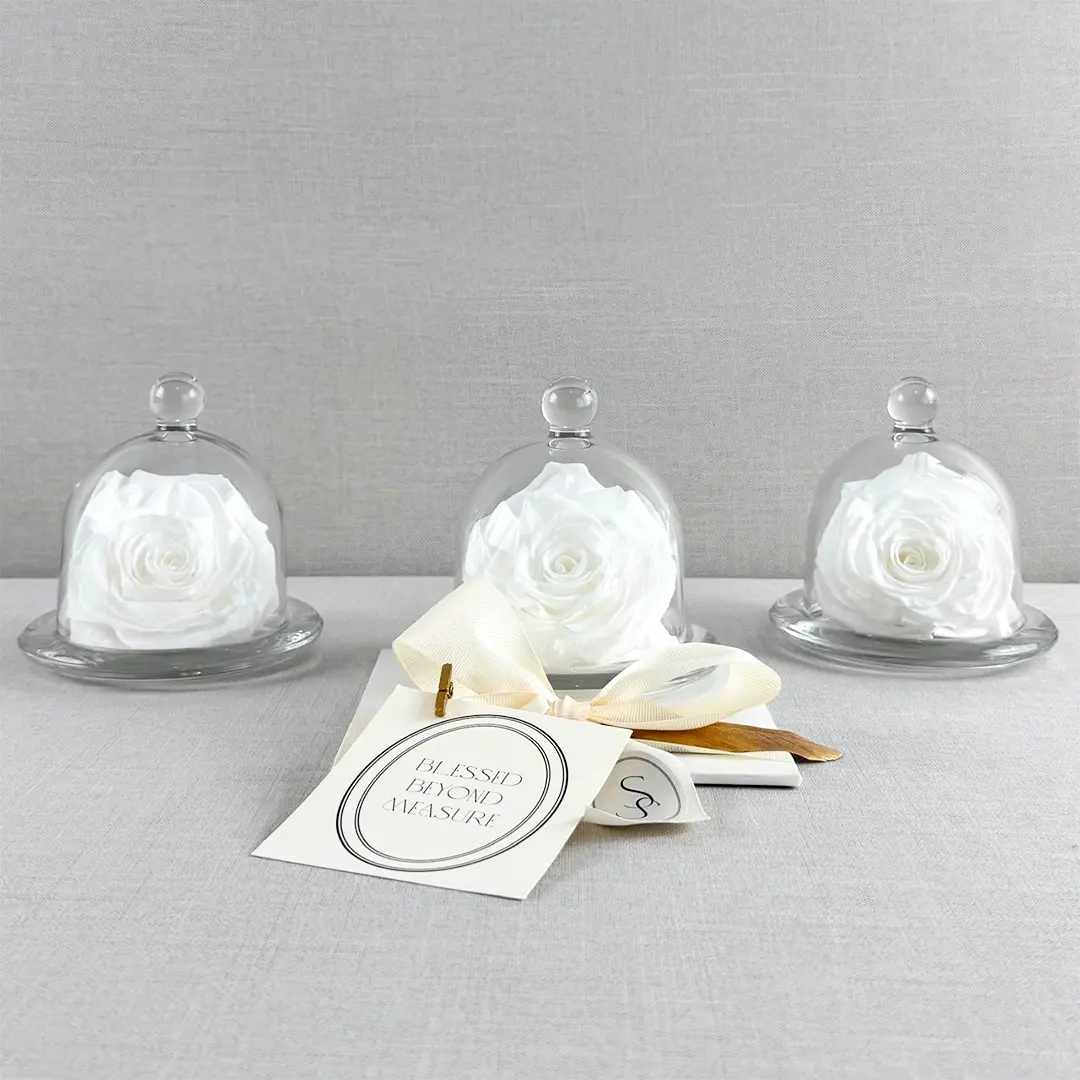 Glass Dome with Preserved Rose