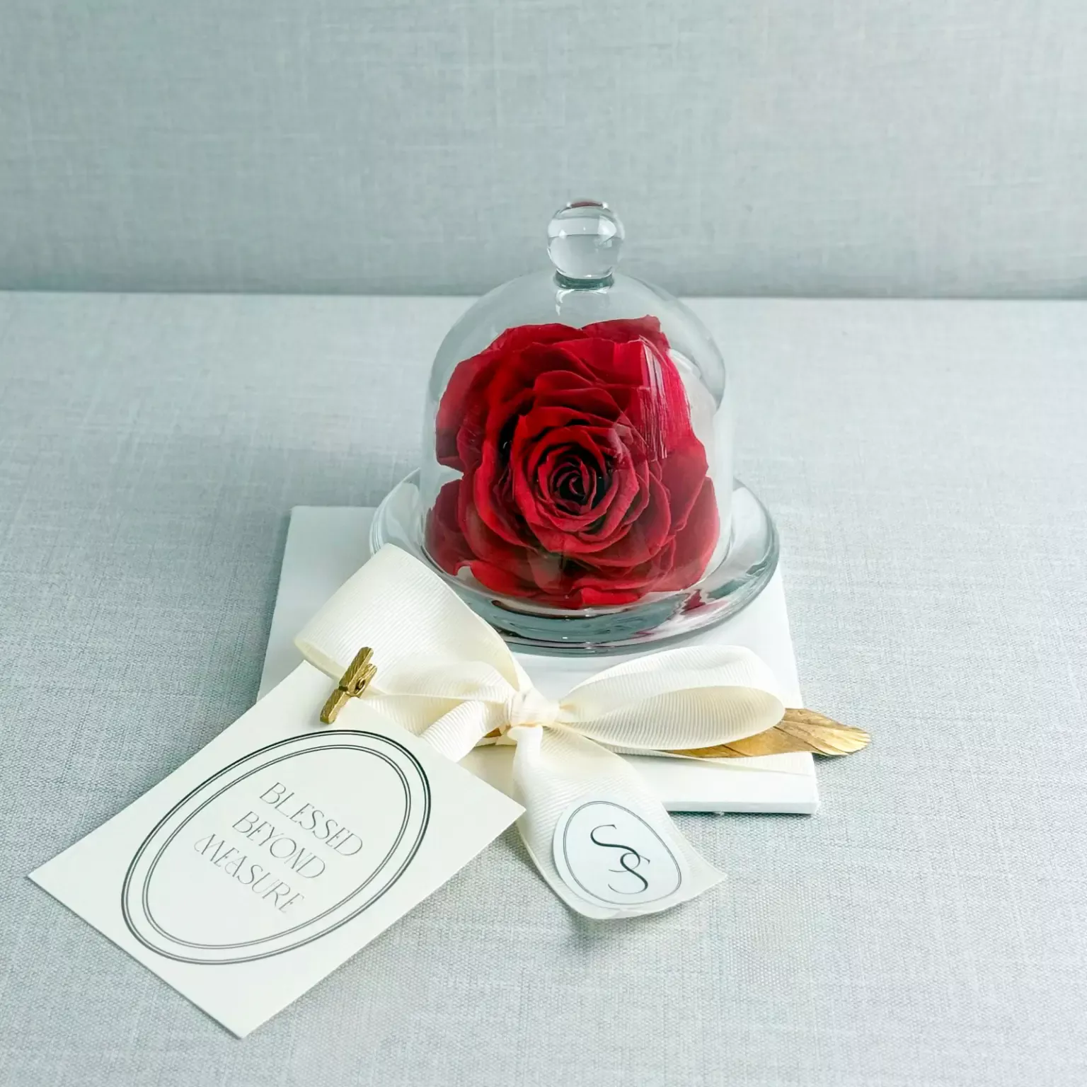 Glass Dome with Preserved Rose - Image 4